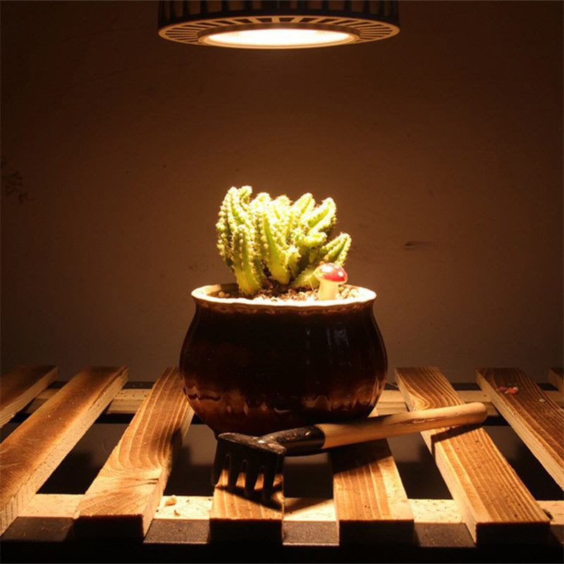 Vollspektrum-LED Pflanzenwachstumslicht – Helfen Sie Ihren Pflanzen zu gedeihen